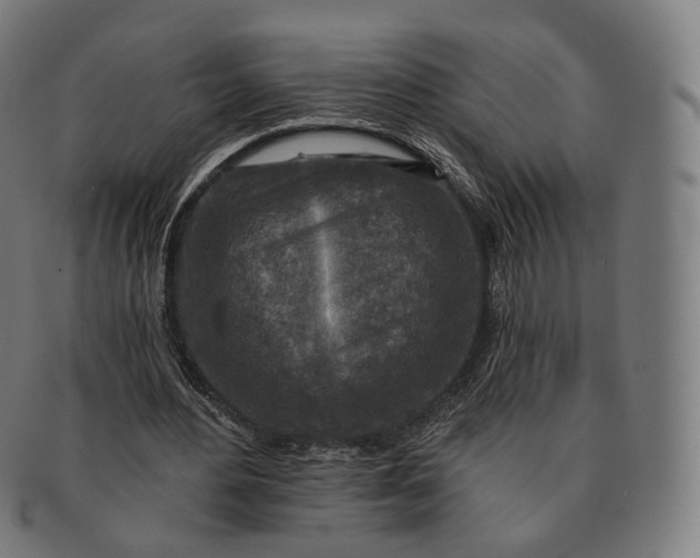 X0000091290484200708241032