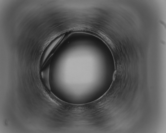 X0000091290485200708241032