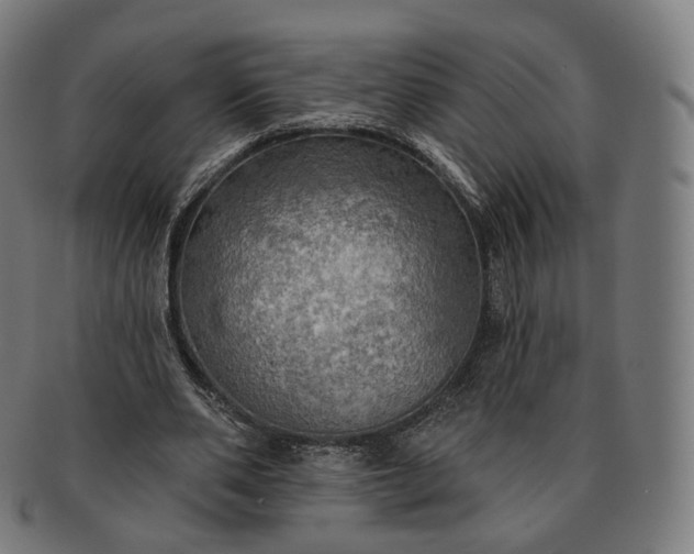 X0000091290486200708241032