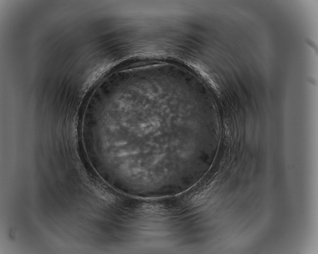 X0000091290487200708241032