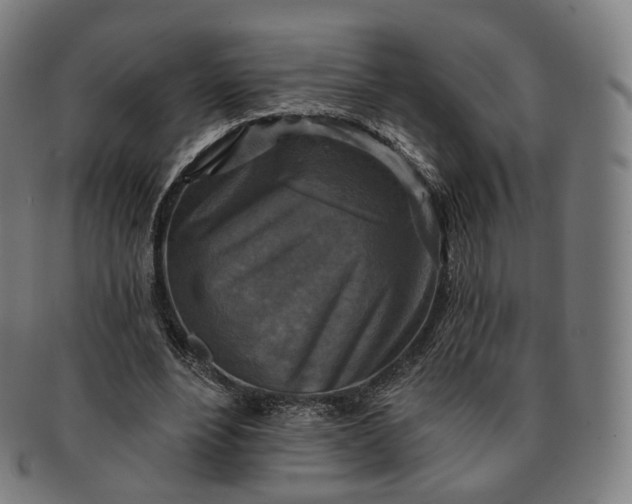 X0000091290488200708241032