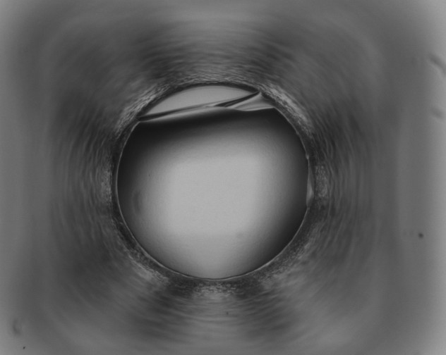 X0000091290489200708241032