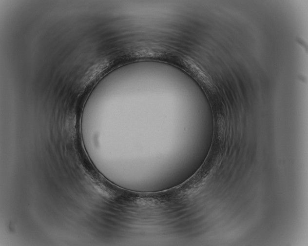 X0000091290490200708241032