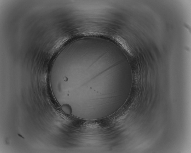 X0000091290491200708241032