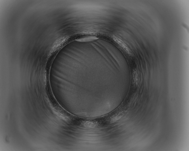 X0000091290494200708241032