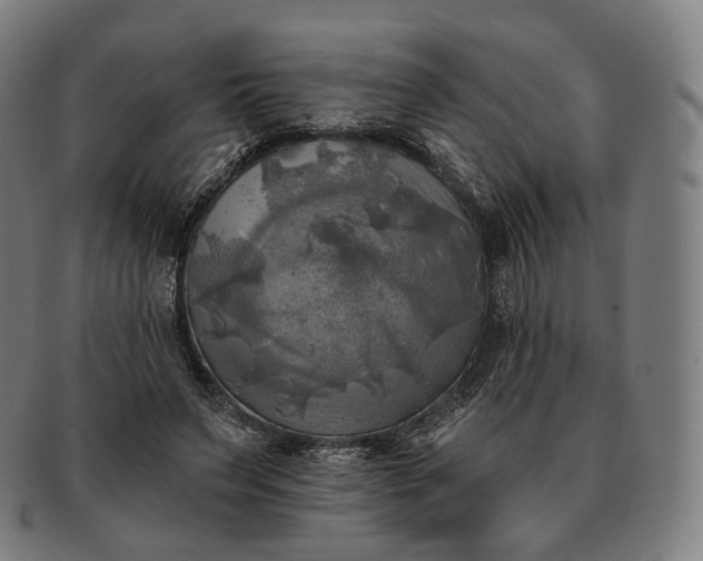 X0000091290495200708241032