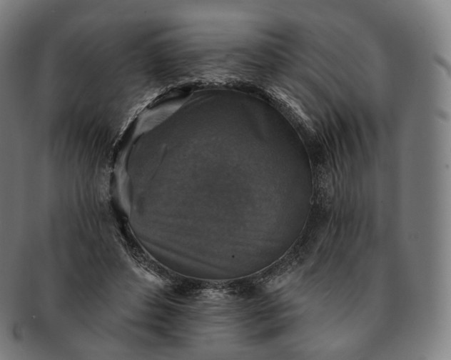 X0000091290496200708241032