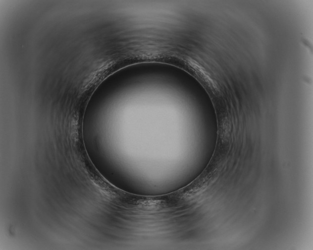 X0000091290497200708241032