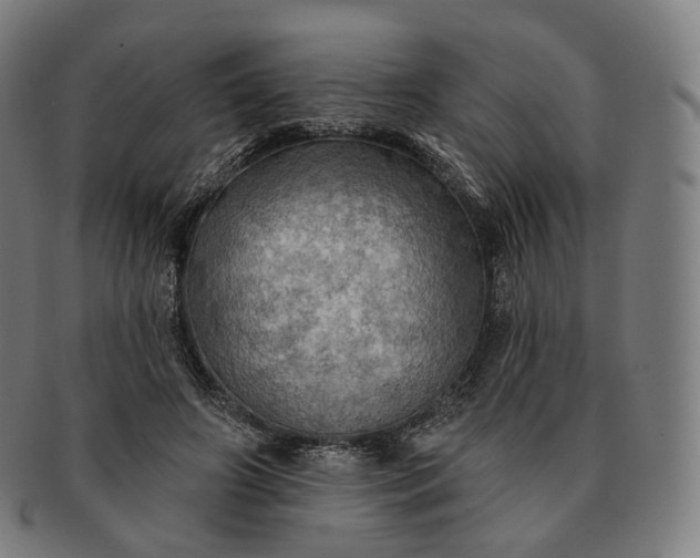 X0000091290498200708241032