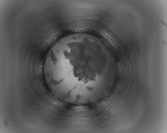 X0000091290499200708241032