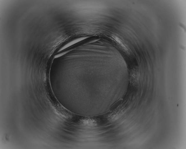 X0000091290500200708241032