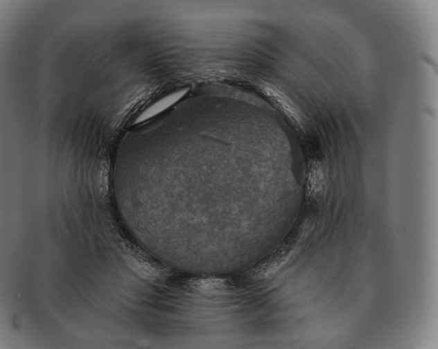 X0000091290501200708241032