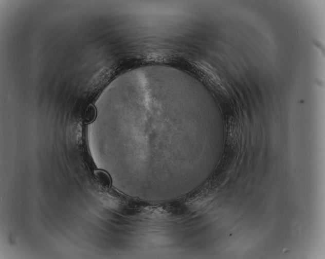 X0000091290502200708241032