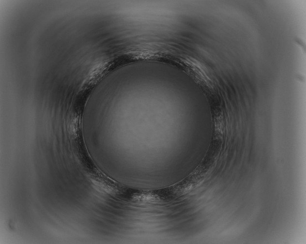 X0000091290503200708241032