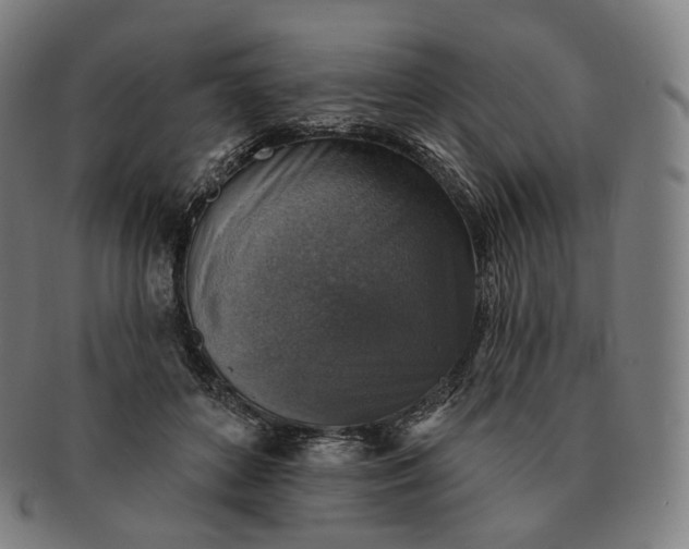 X0000091290504200708241032