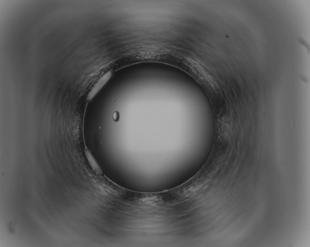 X0000091290505200708241032