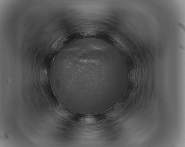 X0000091290506200708241032