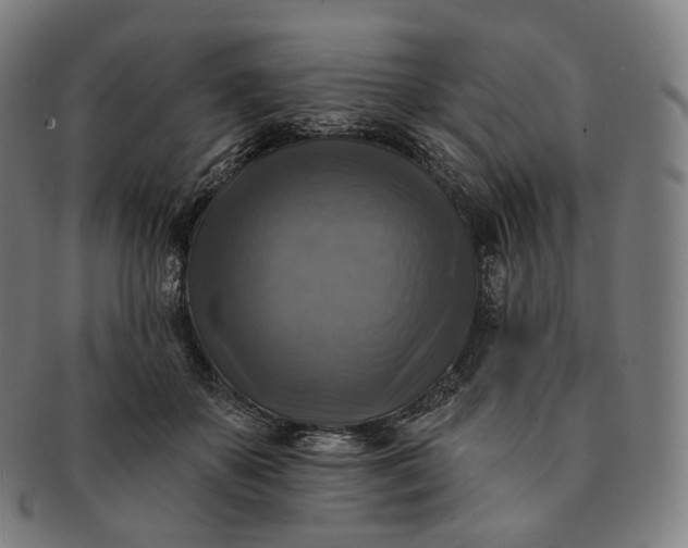 X0000091290507200708241032