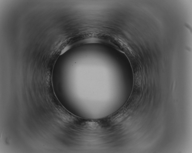 X0000091290509200708241032