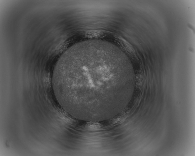 X0000091290510200708241032