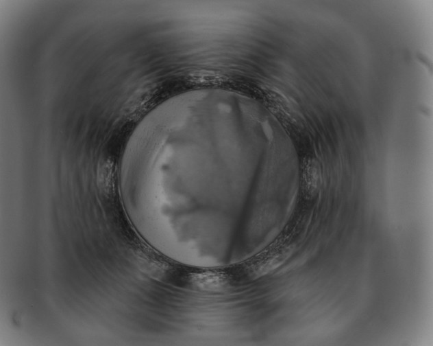 X0000091290511200708241032