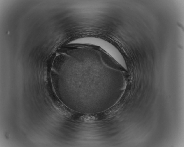 X0000091290512200708241032