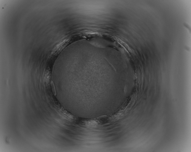 X0000091290513200708241032