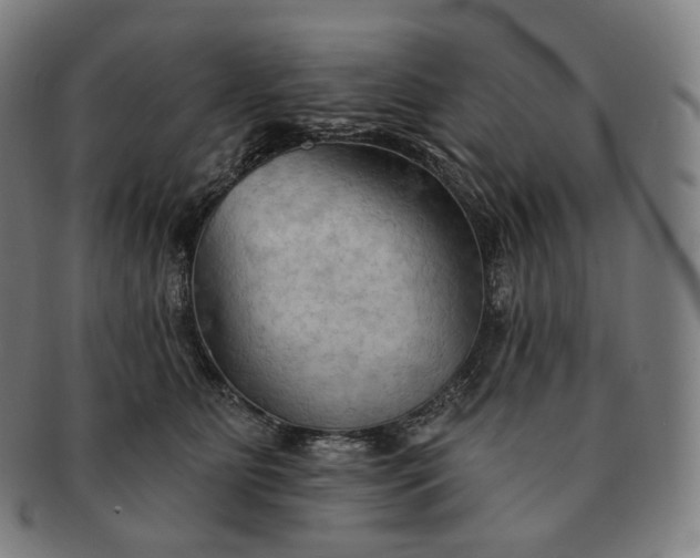 X0000091290515200708241032