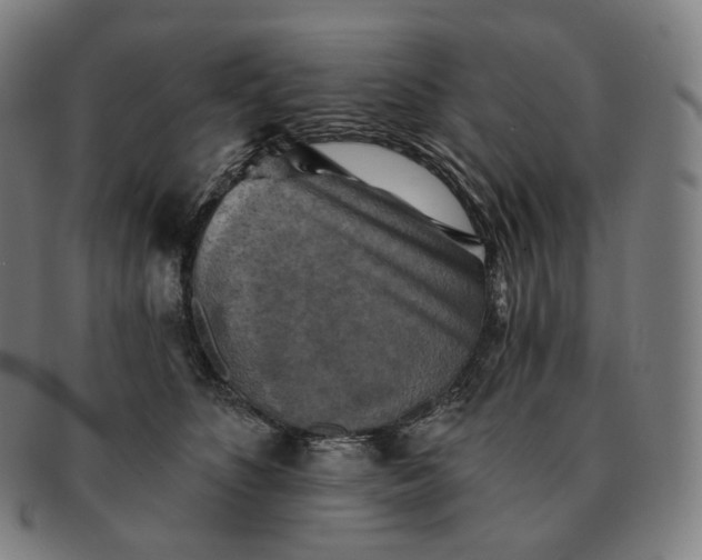 X0000091290516200708241032