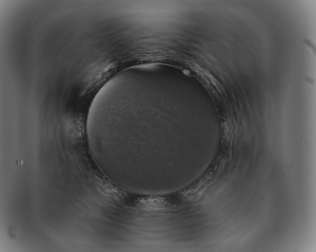 X0000091290517200708241032