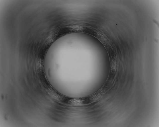 X0000091290518200708241032