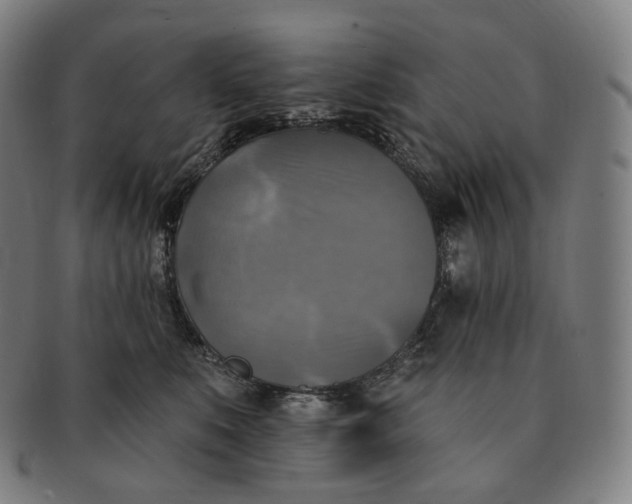 X0000091290519200708241032