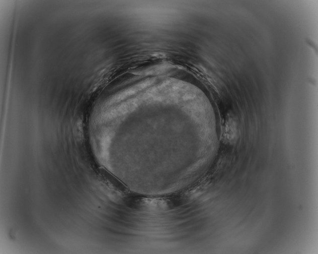 X0000091290520200708241032