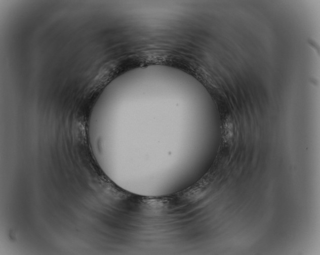 X0000091290522200708241032