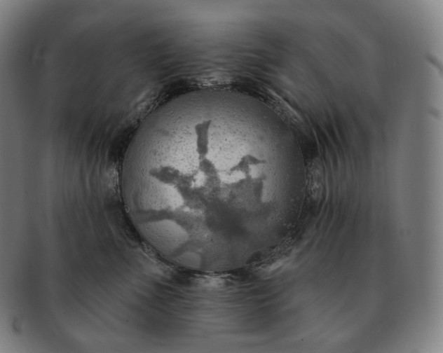 X0000091290523200708241032