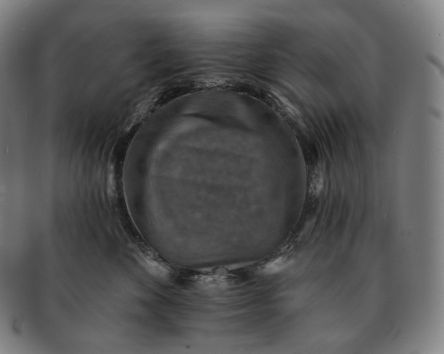 X0000091290524200708241032