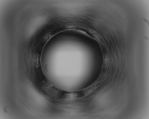 X0000091290525200708241032