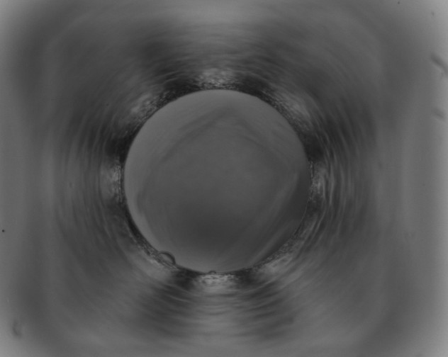 X0000091290526200708241032