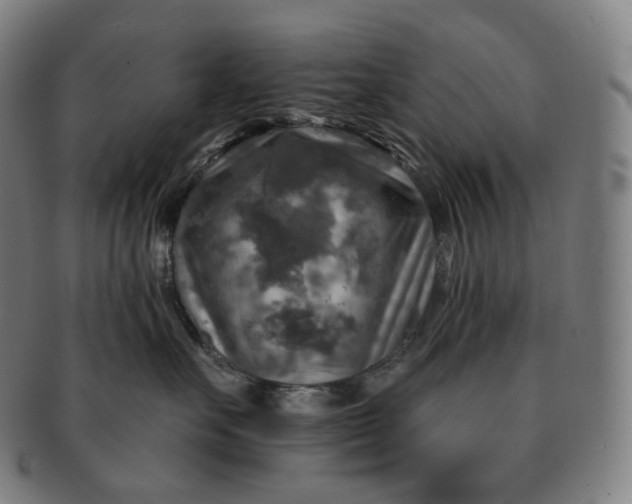 X0000091290527200708241032