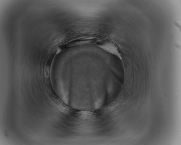 X0000091290528200708241032