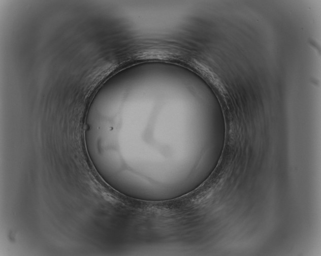 X0000091290529200708241031