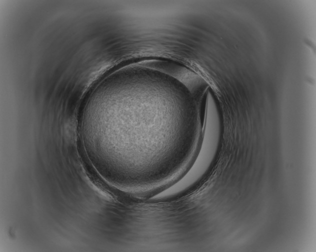 X0000091290530200708241031