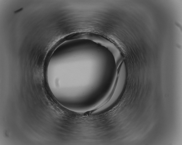 X0000091290532200708241031