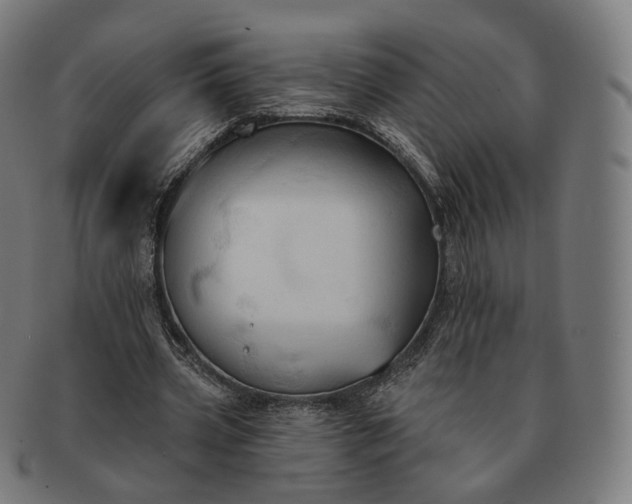 X0000091290533200708241031