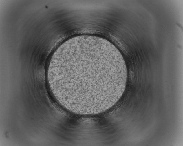 X0000091290534200708241031