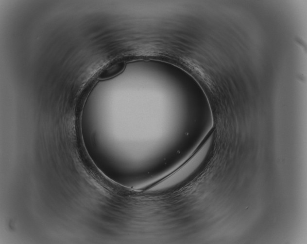 X0000091290535200708241031