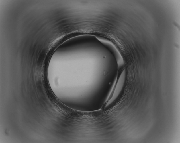 X0000091290536200708241031