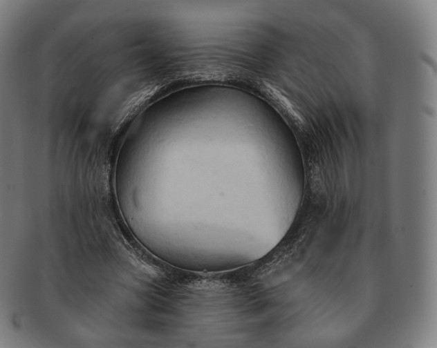 X0000091290537200708241031