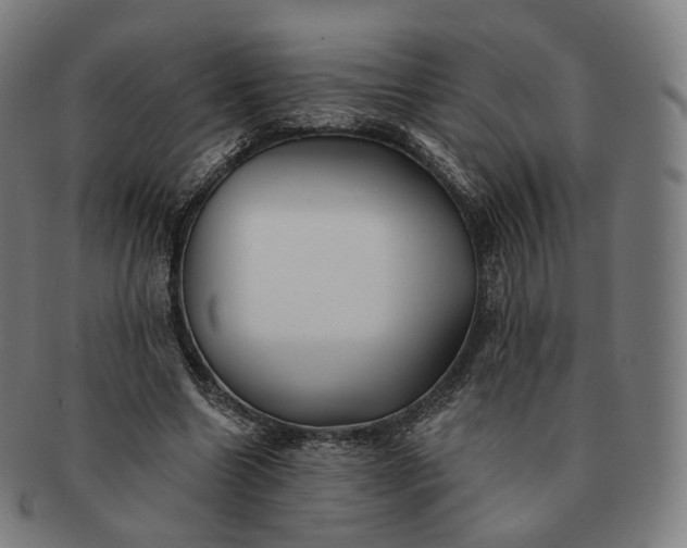 X0000091290538200708241031