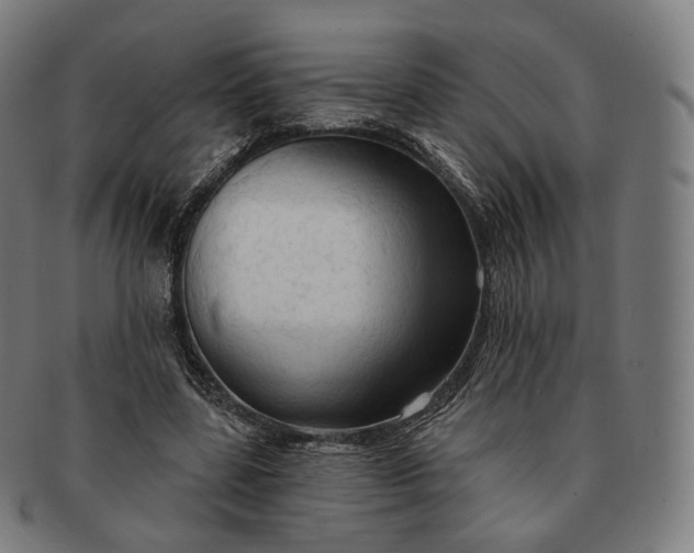 X0000091290539200708241031